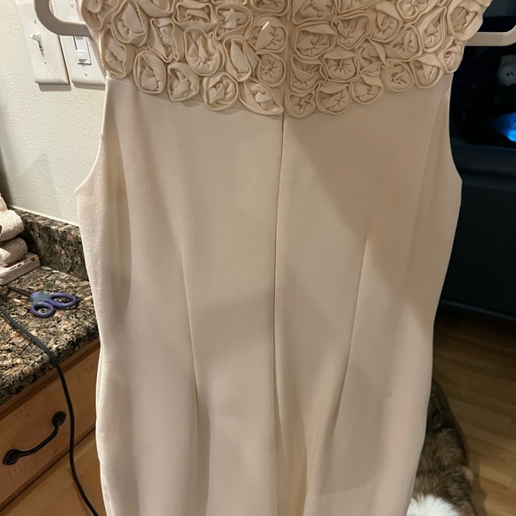 Size 12 Vintage inspired dress. Rose lapel and pockets on each hip. Zipper back - Picture 4 of 5